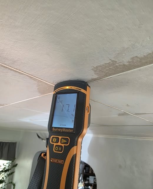 A moisture meter reading taken on a water-stained ceiling